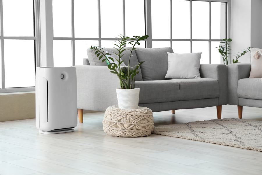Interior of light living room with air purifier and sofa